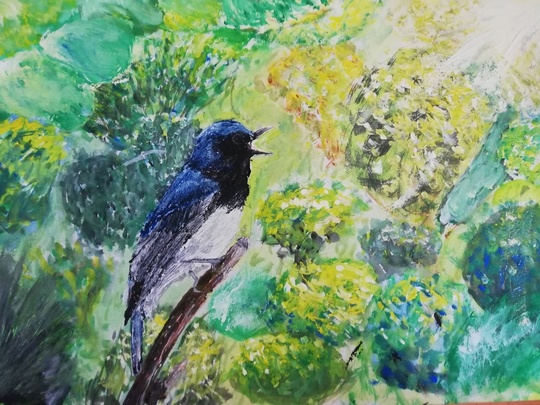 通信教育 コース - 影美会アートアカデミー子ども絵画・書道教室（麻布